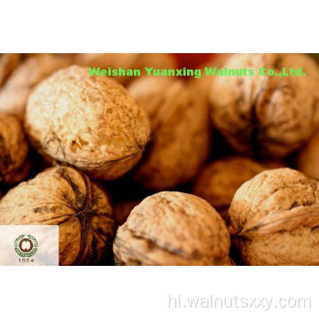 पहली कक्षा चीनी अखरोट गुठली प्रकाश क्वार्टर